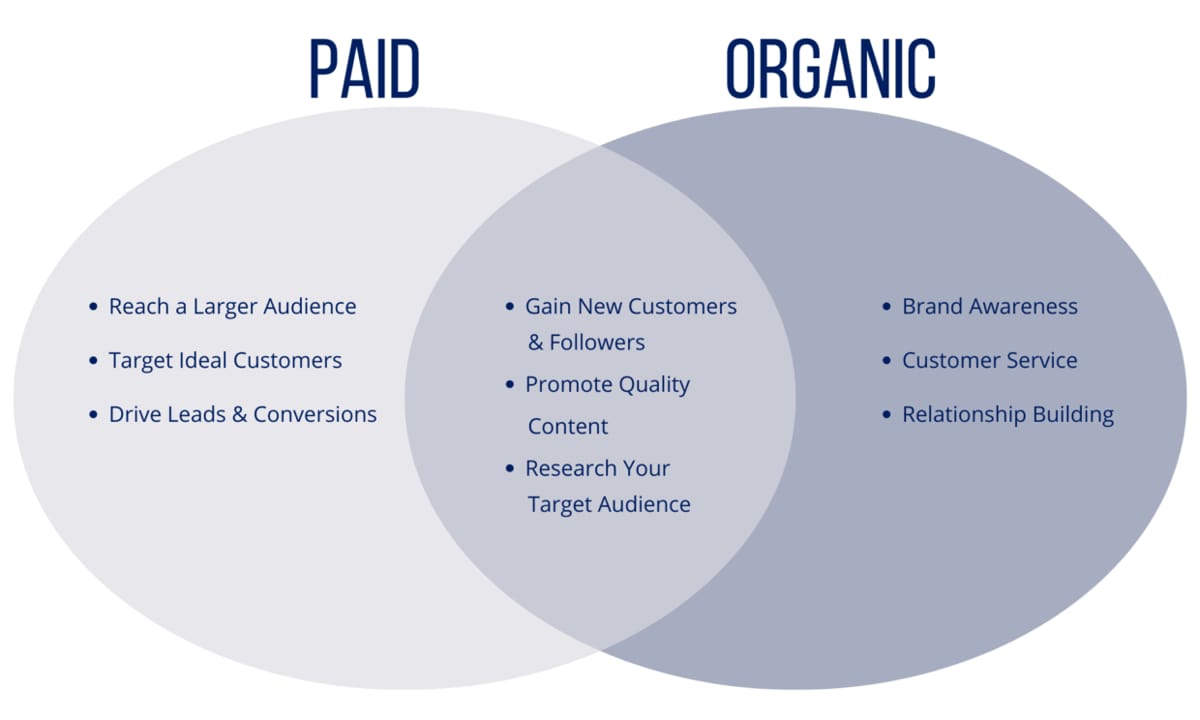 Paid vs Organic Social Media: Which Should You Choose for Your Business in Bangladesh?